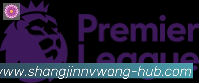 PG赏金女王合作伙伴